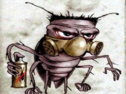 Тараканы в доме. Как избавиться от тараканов в домашних условиях? Популярные средства и способы.